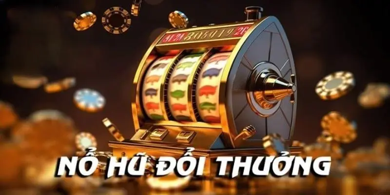 Khám phá thế giới nổ hũ shbet800 đa dạng từ nhà cung cấp hàng đầu