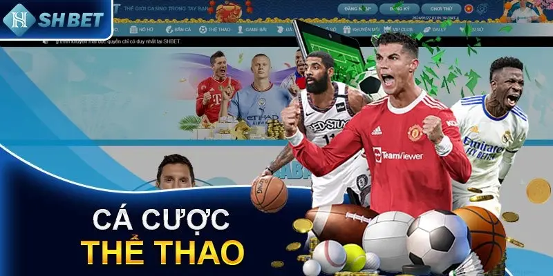 Giới thiệu tổng quan về thể thao SHBET80
