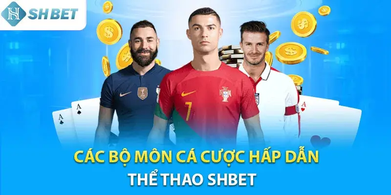 Trải nghiệm đa dạng các môn thể thao Shbet80 đỉnh cao